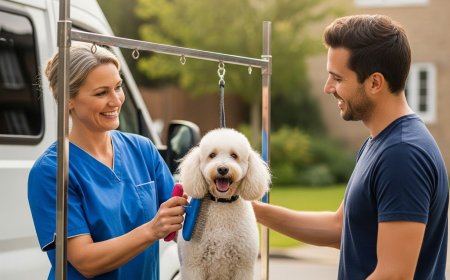 Convenient Pet Care at Your Doorstep with Lucky Dog Mobile Groomers