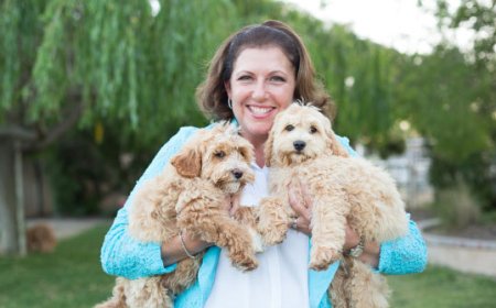 From Puppy to Perfect Companion: Why Our Trained Dogs Make a Big Difference