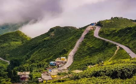 Darjeeling Tour Packages under 10000: Monastery & Mountain Walks