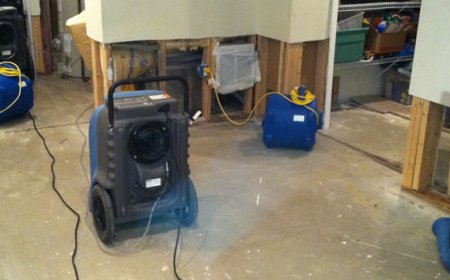 Fast & Easy Water Damage Cleanup Restore Your Home Today