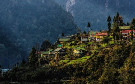 Exploring the Hills: A Complete Guide to Sikkim and Darjeeling Tour
