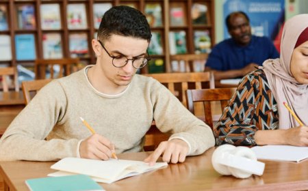 Essay Writing as a Lifelong Skill