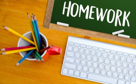 How to Nail Homework Writing in Environmental Studies