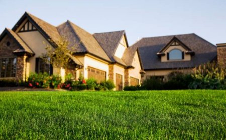Lawn Care You Can Trust – Poole’s Lawn Service