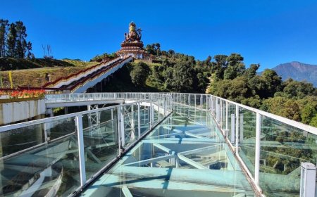 Experience Thrill and Beauty at the Skywalk in Pelling Sikkim