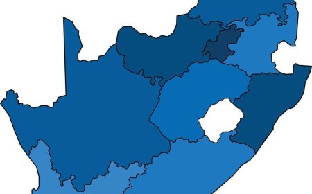 Boost Trade Intelligence Using South Africa Import Data