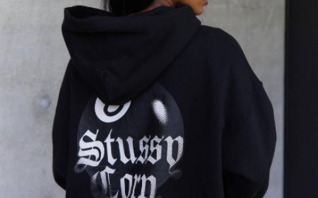From Skaters to Celebs The Universal Love for Stussy Hoodies