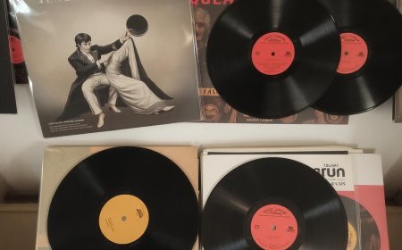 Why Audiophiles Love Classical Indian Music on Vinyl