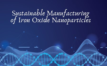 Sustainable Manufacturing of Iron Oxide Nanoparticles