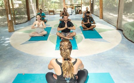 7 Reasons Why Wavefinder Hosts the Best Yoga Surf Retreats in Morocco