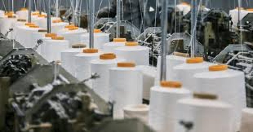 Stitching Sustainability & Style: How U.S. Garment Manufacturers Are Redefining Fashion with Purpose