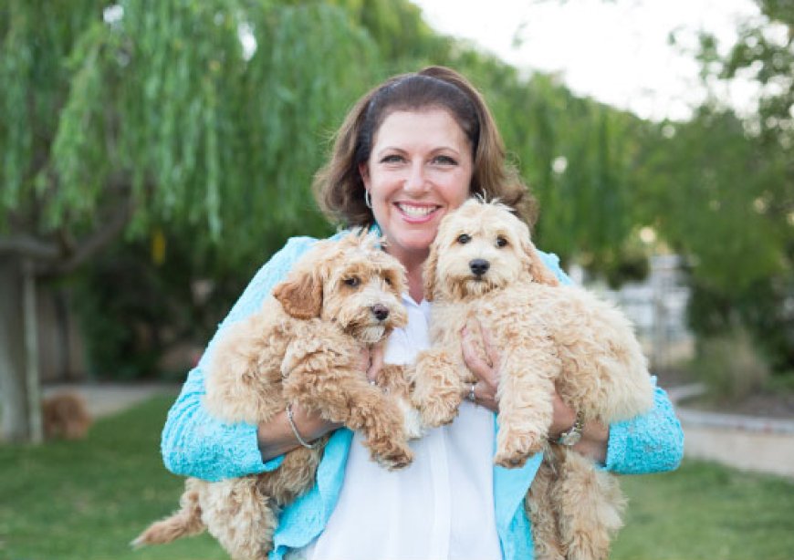 From Puppy to Perfect Companion: Why Our Trained Dogs Make a Big Difference