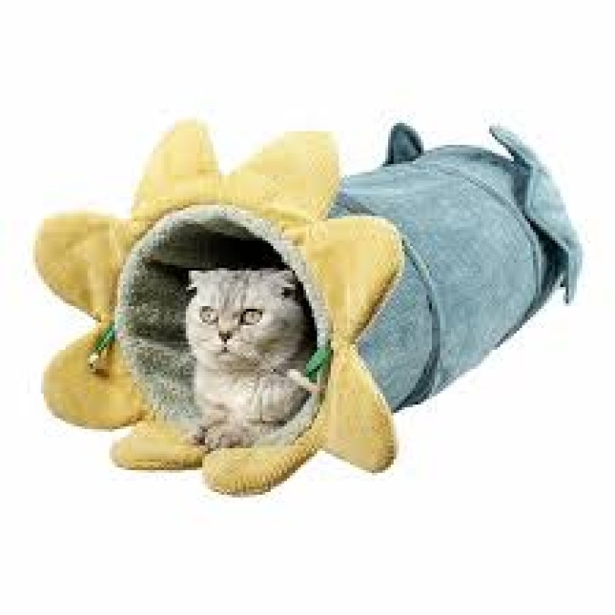 Stylish & Personalized Pet Apparel: The Ultimate Guide to Dressing Up Your Furry Friend