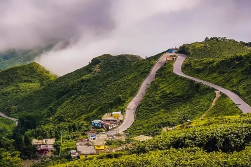 Darjeeling Tour Packages Under 10000: Pocket-Friendly Adventure