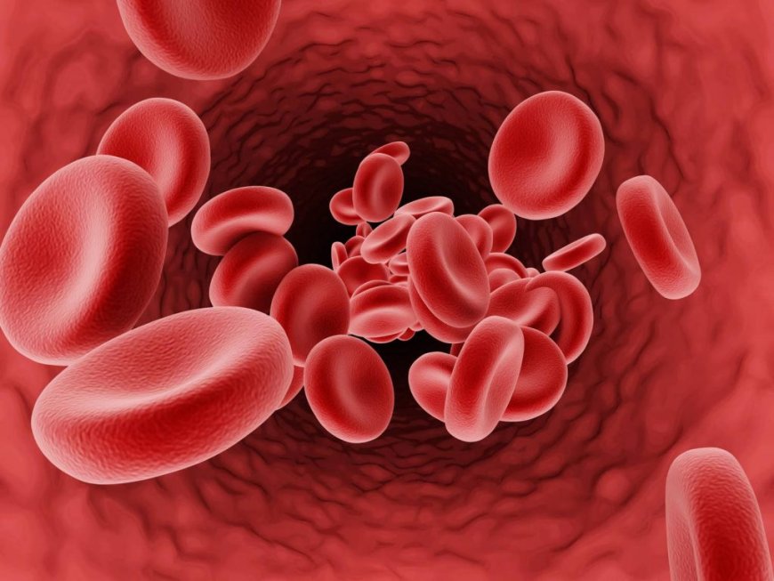 The Link Between Diet and Anemia in Dubai: What You Should Know