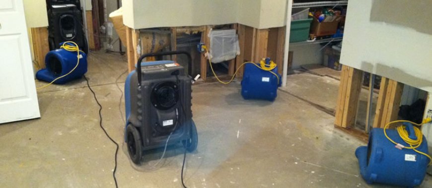 Fast & Easy Water Damage Cleanup Restore Your Home Today