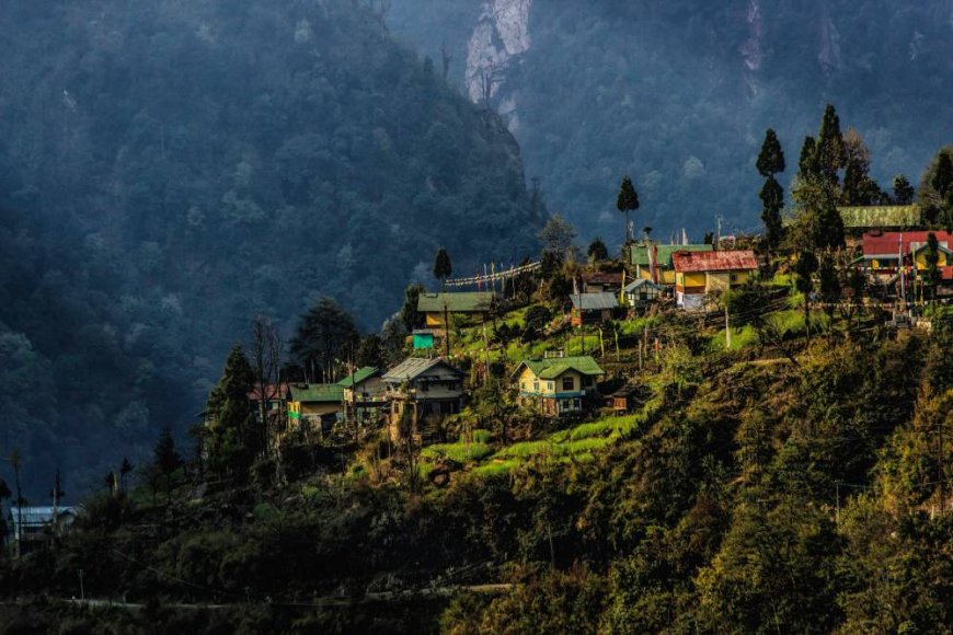 Exploring the Hills: A Complete Guide to Sikkim and Darjeeling Tour