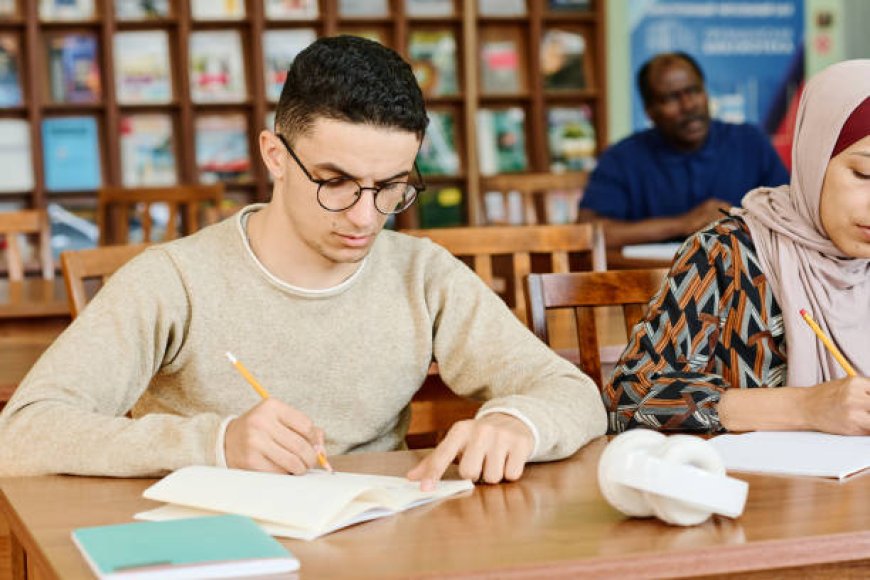 Essay Writing as a Lifelong Skill