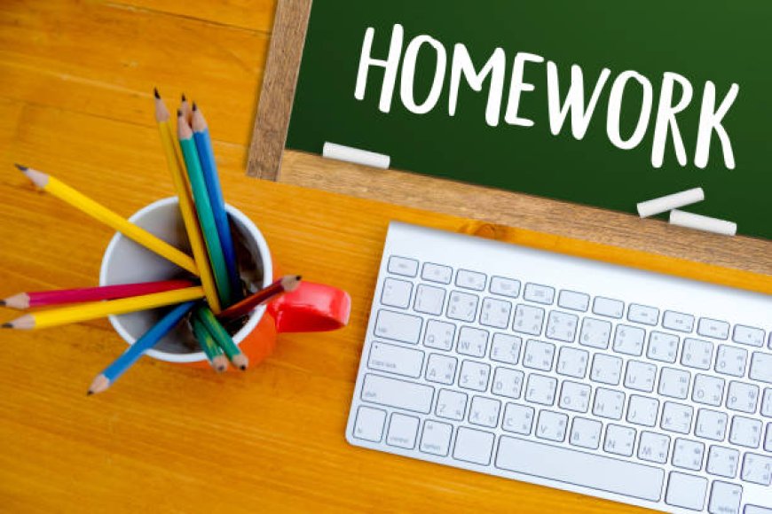 How to Nail Homework Writing in Environmental Studies