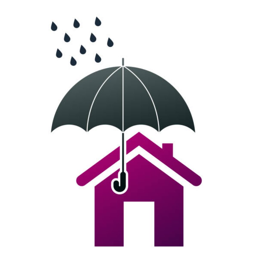 Protect Your Drive with RainShield