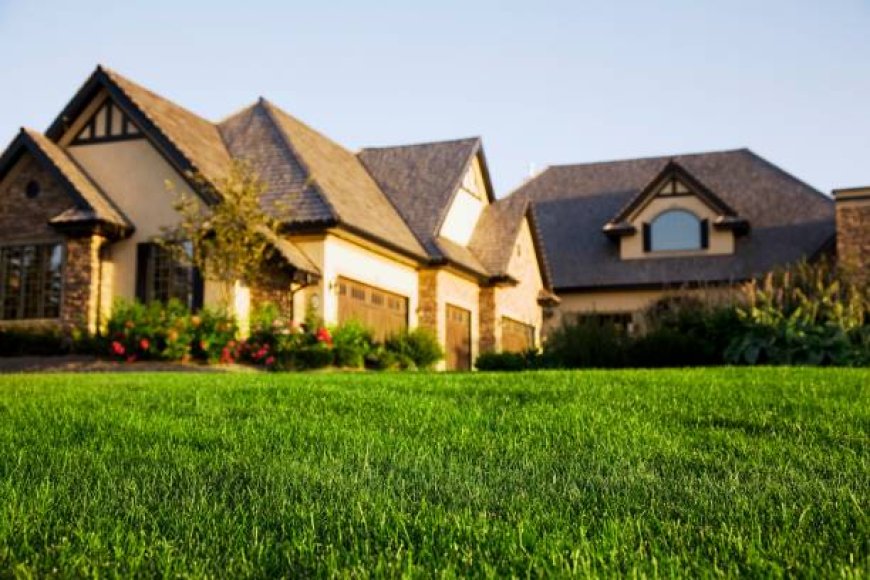 Lawn Care You Can Trust – Poole’s Lawn Service