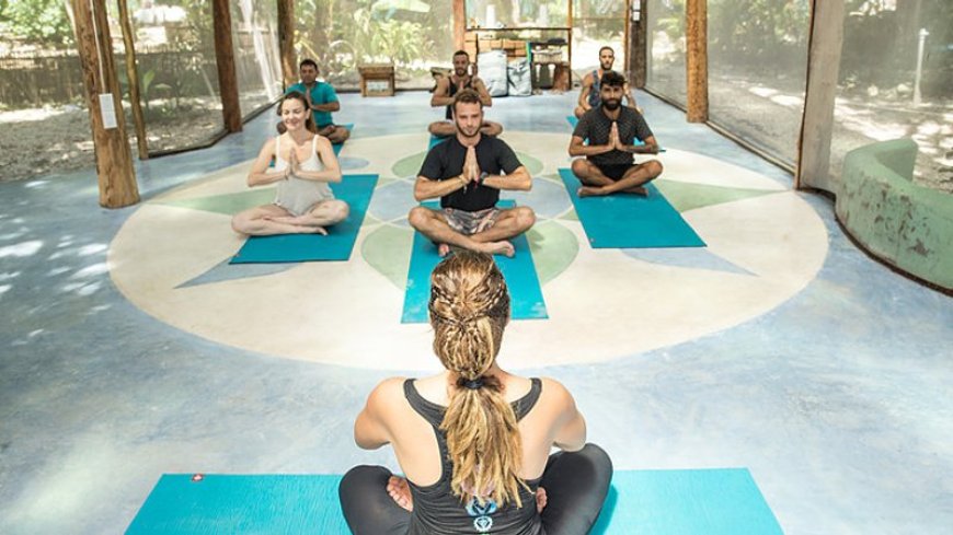 7 Reasons Why Wavefinder Hosts the Best Yoga Surf Retreats in Morocco