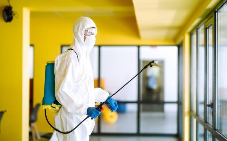 Best Driving School London – Affordable Lessons Today