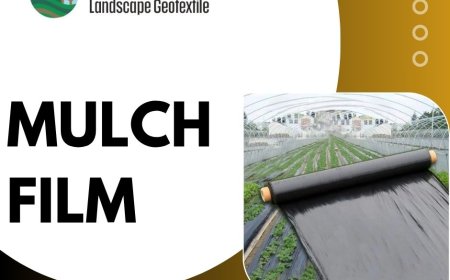 How Mulch Film Increases Farm Yield and Weed Suppression