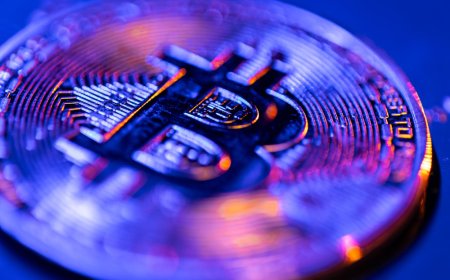 The Role of a Crypto Calculator in Portfolio Management