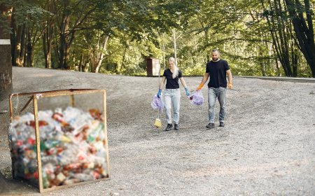 How Does a Garbage Route Planner Improve Daily Operations?