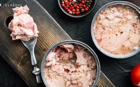 Global Canned Tuna Market Growth, Trends & Sustainability Outlook 2025–2034