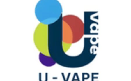 Elux Nic Salts Wholesale: A Profitable Choice for Vape Retailers