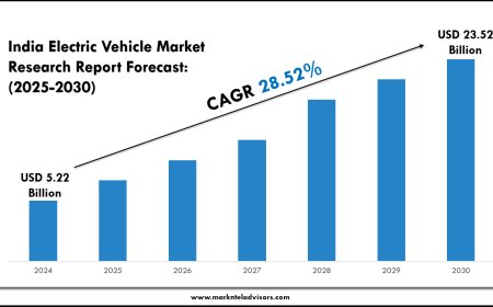 India Electric Vehicle Industry Insights & Forecast (2025–2030)
