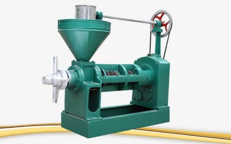 Oil Expeller – A Complete Guide to Efficient Oil Extraction
