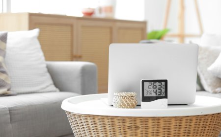 How to Find the Perfect Humidity for Your Home