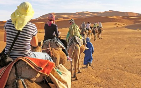 Top Activities to Enjoy in a Desert Safari Dubai Experience