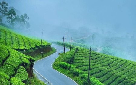 Unwind in the Hills: Your Ideal Munnar Package for a Short Getaway