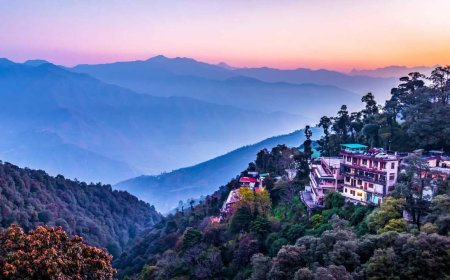 Beyond the Mist: A Soulful Journey Through Mussoorie