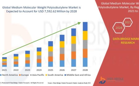 Rising Demand in Automotive and Lubricant Industries Drives Medium Molecular Weight Polyisobutylene Market