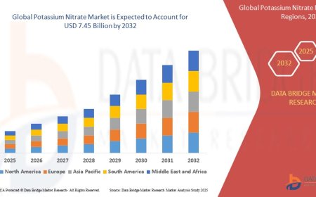 Potassium Nitrate Market Sees Growth Driven by Agriculture and Fireworks Sectors