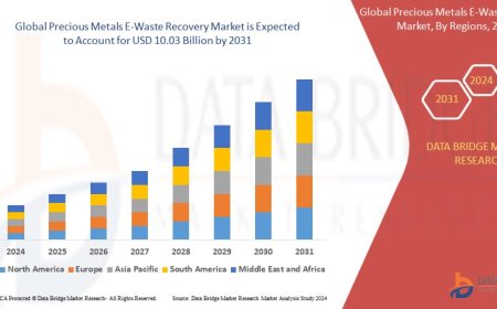 Precious Metals E-Waste Recovery Market Analysis On Size and Industry Demand 2031