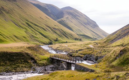 Could Pawn to King's End Be the Next Great Screen Adaptation?