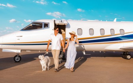 Jetvia: Elite Private Jet Charter from Houston to Las Vegas