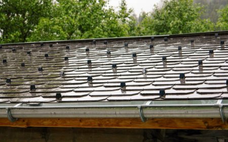 Why You Should Hire a Trusted Bellingham Roofer for Your Next Project