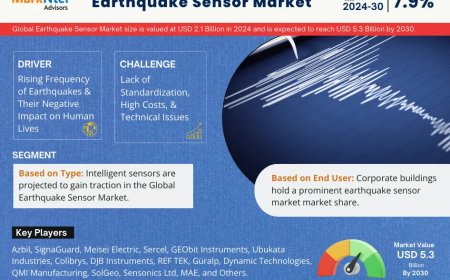 Top Earthquake Sensor Market Companies & Operators: Trends, Key Players & Future Insights