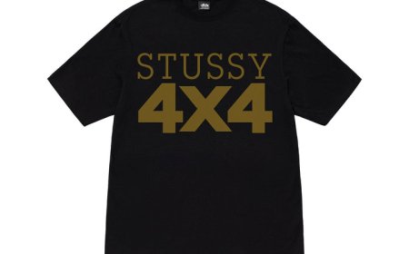 Stussy shirt - The Best Choice for All