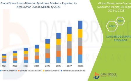 Shwachman-Diamond Syndrome Market: Insights and Competitive Analysis