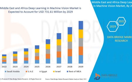 Middle East and Africa Deep Learning in Machine Vision Market Growth and Future Trends