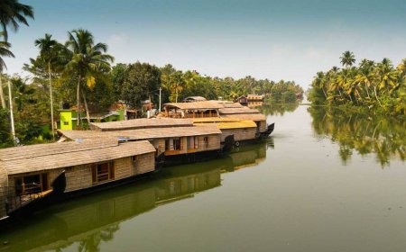 Kerala Munnar Tour Package – A Perfect Escape to the Hills