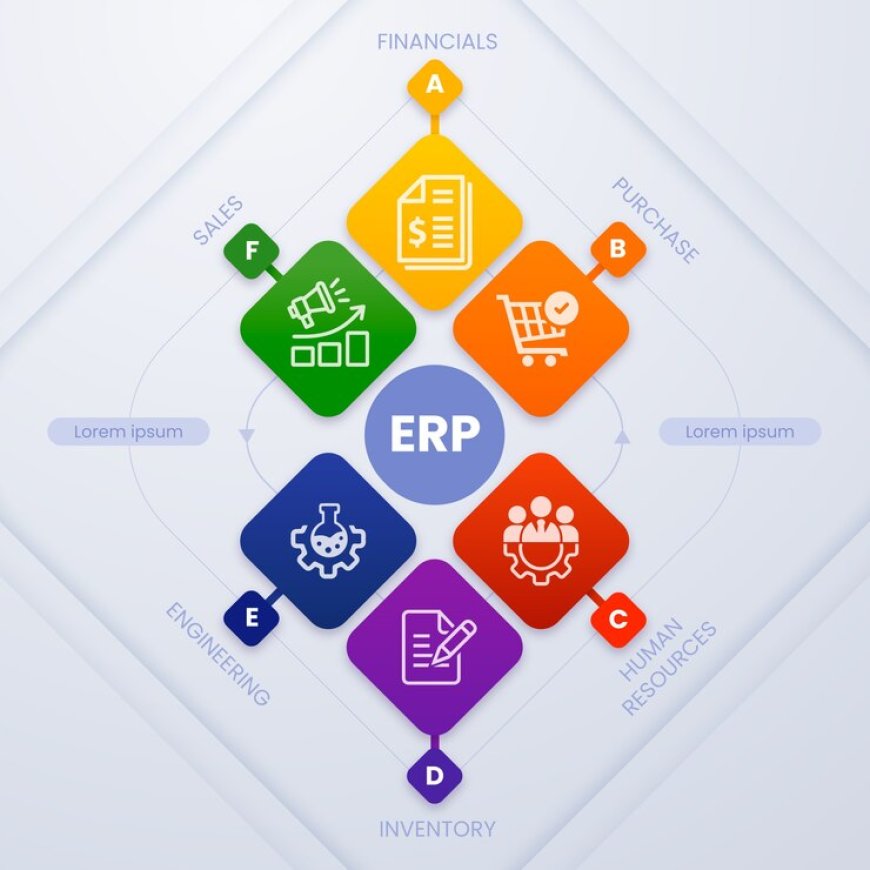 Transforming Business: ERP Systems in UAE